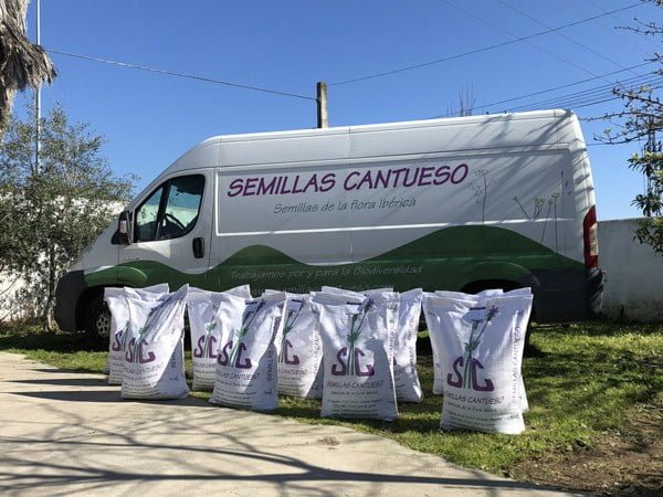 Donation of seeds for Doñana fire repopulation - CANTUESO - Natural Seeds