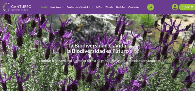 We launch or new Website - CANTUESO - Natural Seeds