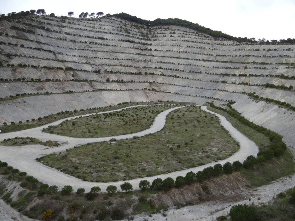 Cantera Alhaurín - CANTUESO - Natural Seeds