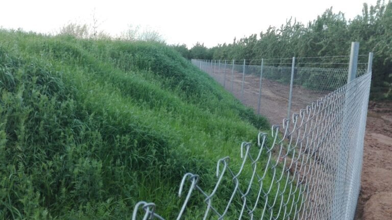 Irrigation pond - CANTUESO - Natural Seeds