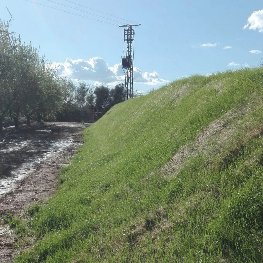 Restoration of irrigation ponds in agriculture - CANTUESO - Natural Seeds