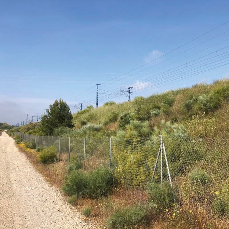 Restoration of slopes of railroad lines and AVE lines - CANTUESO - Natural Seeds