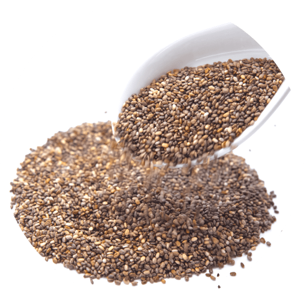 Servicios - CANTUESO - Natural Seeds