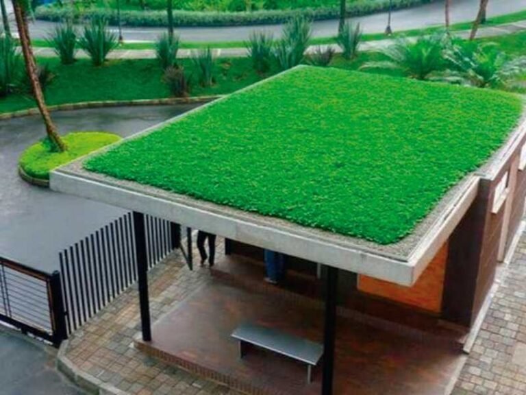 Green Roofs - CANTUESO - Natural Seeds