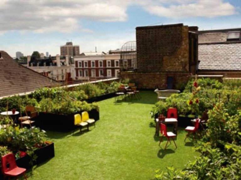 Green Roofs - CANTUESO - Natural Seeds