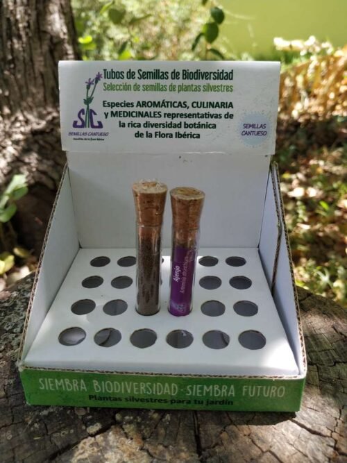Tubo de Biodiversidad Ajenjo - CANTUESO - Natural Seeds