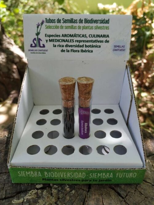 Tubo de Biodiversidad Albahaca - CANTUESO - Natural Seeds