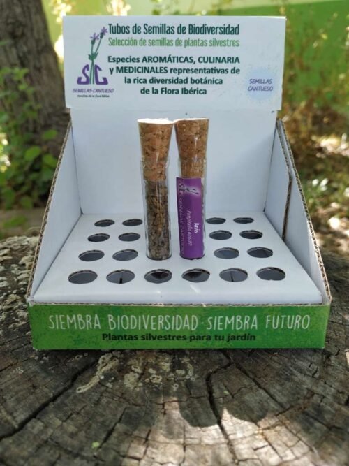 Aniseed Biodiversity Tube - CANTUESO - Natural Seeds